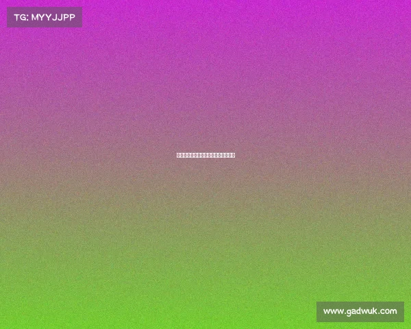 桥牌比赛赛事小结、桥牌比赛新闻报道